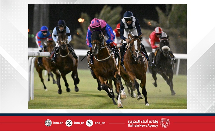 استعدادات مكثفة وترقب جماهيري لانطلاقة موسم سباقات الخيل 2025 2026 استعدادات مكثفة وترقب جماهيري لانطلاقة موسم سباقات الخيل 2025 2026